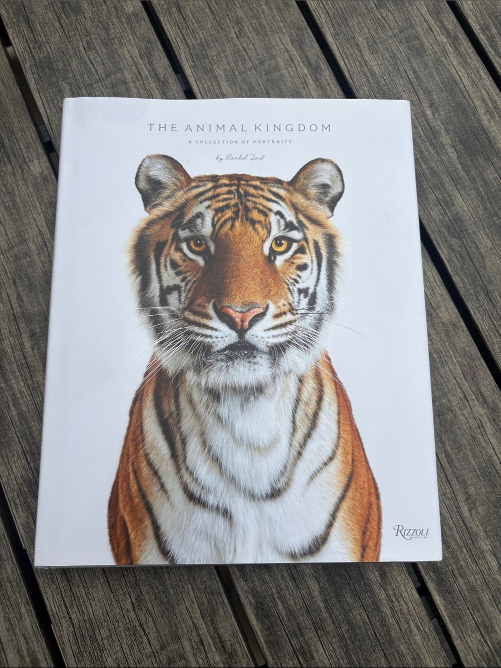 Rizzoli White and Orange Tiger Portrait Hardcover